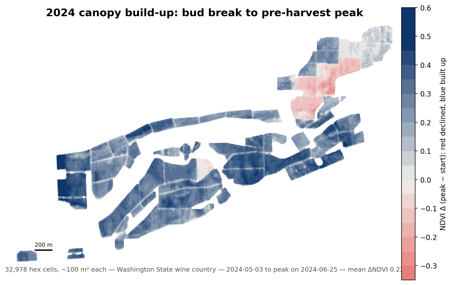 2024 canopy build-up map, bud break to pre-harvest peak